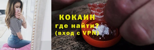 трава Ессентукская