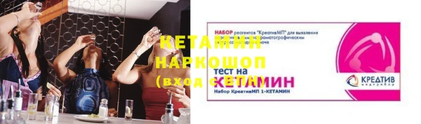 трава Ессентукская