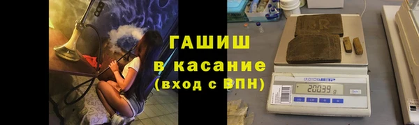 трава Ессентукская