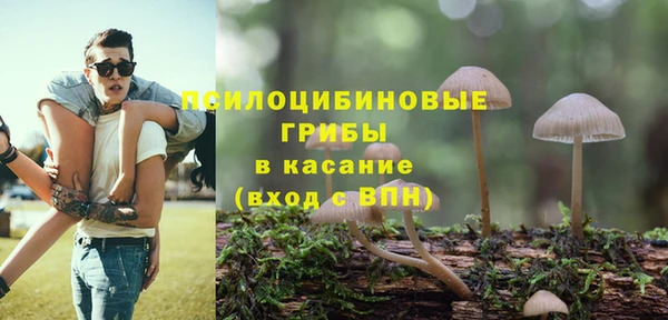 PSILOCYBIN Киренск