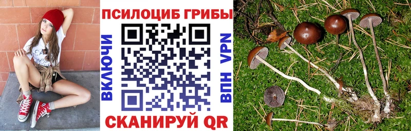 Псилоцибиновые грибы Cubensis Калязин